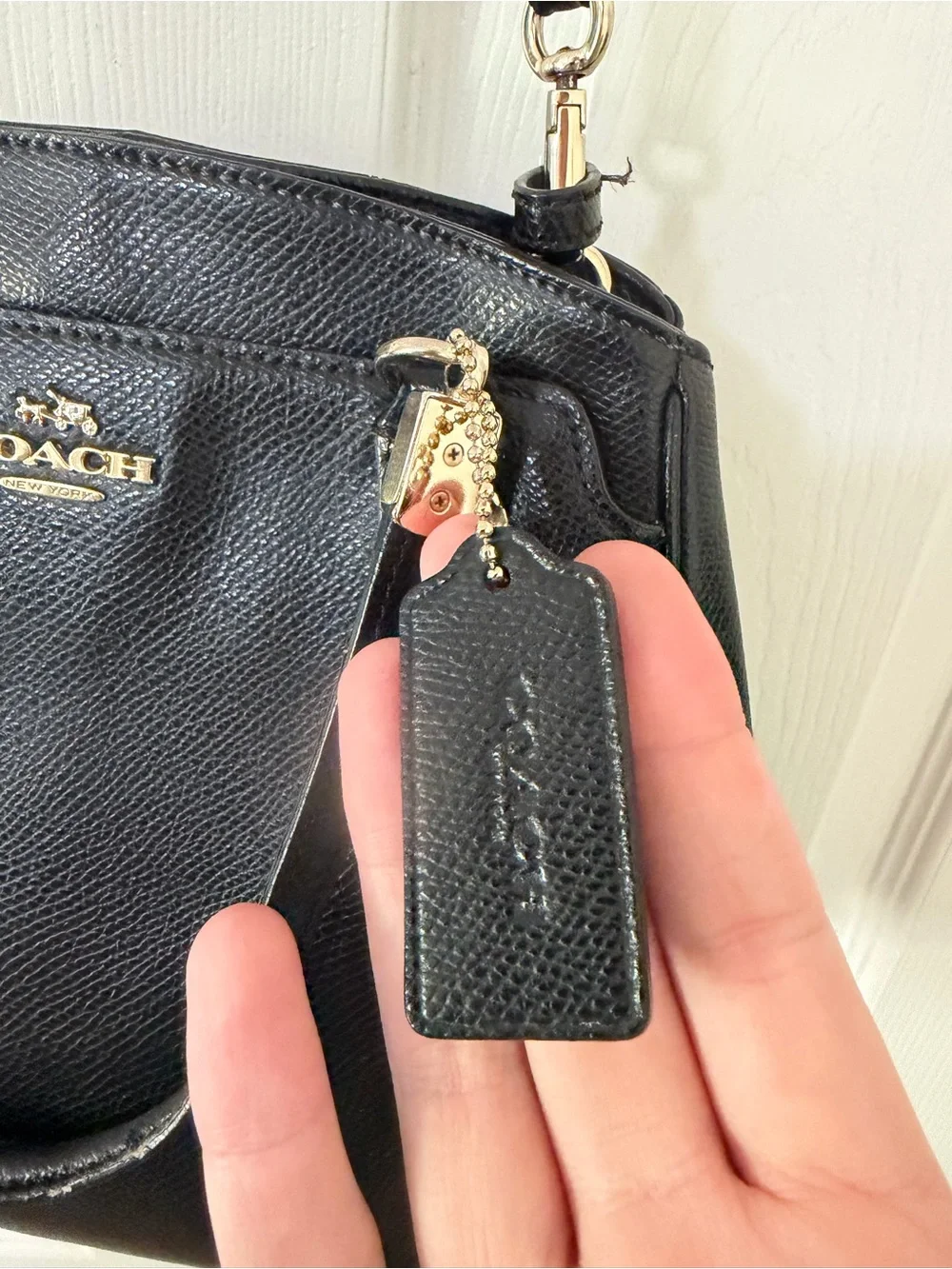 COACH Minetta Leather Crossbody Handbag F57847